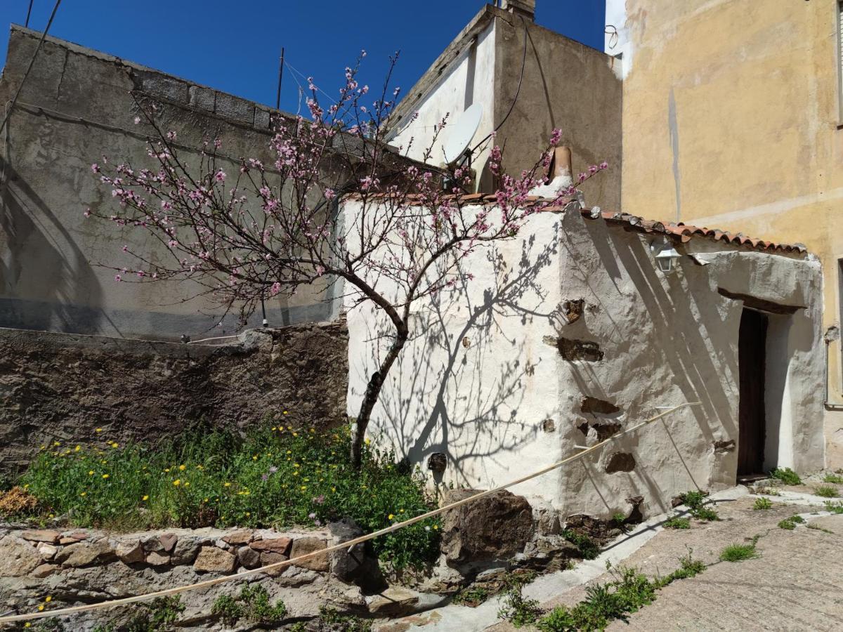 Villa Sa Dommu 'e su coro Triei Exterior foto